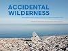 Accidental Wilderness: The Origins and Ecology of Toronto's Tommy Thompson Park
