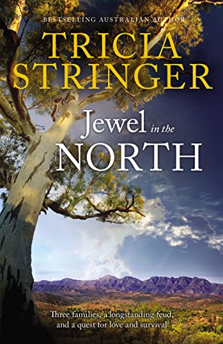 Jewel In The North book cover