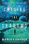 Chasing The Shadows