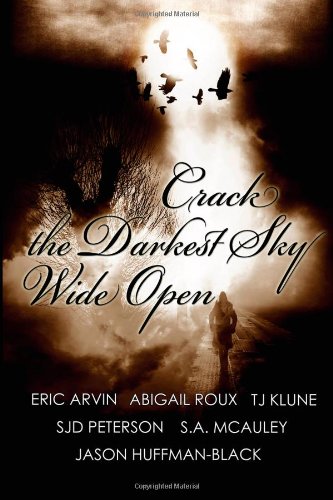 Crack the Darkest Sky Wide Open book cover