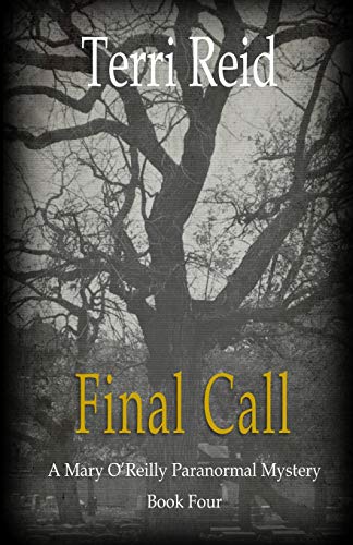 Final Call book cover