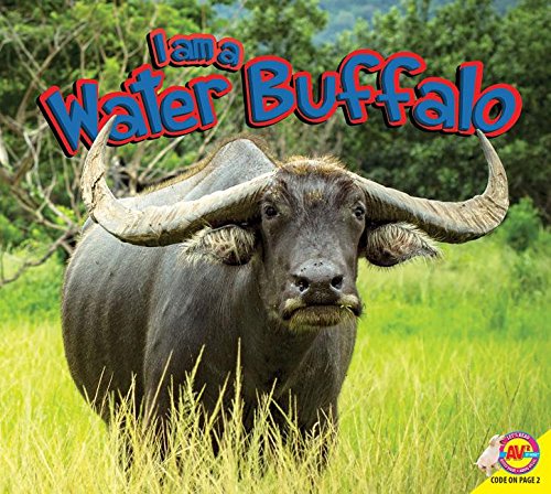 Cover of Water Buffalo