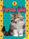 Persian Cats (Domestic Cats)