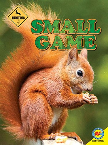 Cover of Small Game