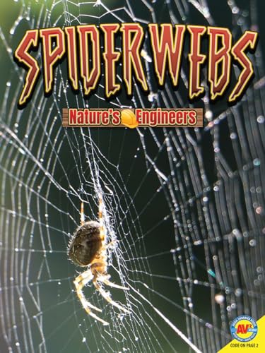 Cover of Spiderwebs