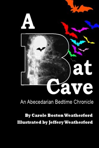 A Bat Cave book cover