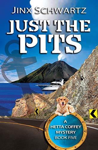 Just The Pits book cover