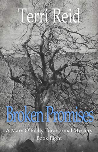 Broken Promises book cover