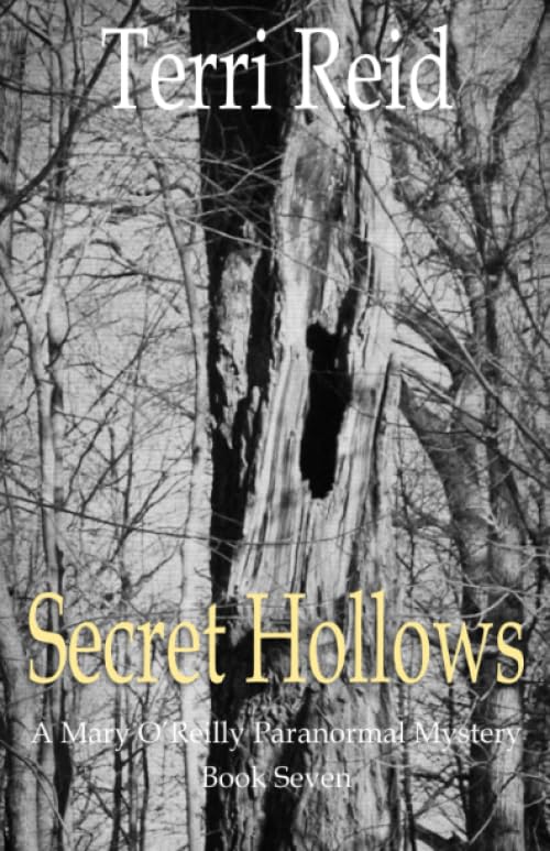 Secret Hollows cover