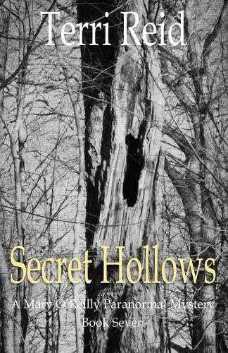 Secret Hollows book cover