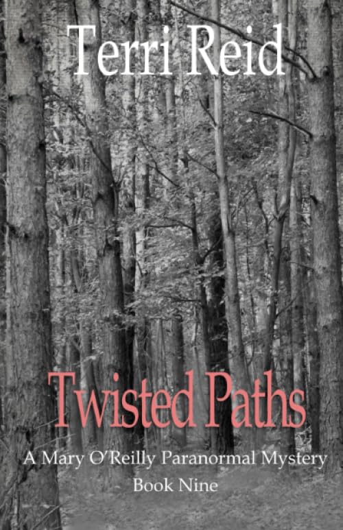 Twisted Paths book cover