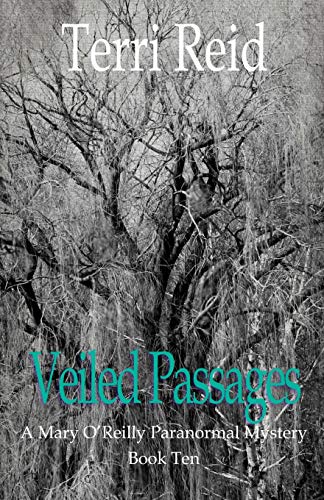 Veiled Passages book cover