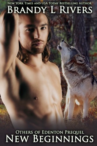 New Beginnings book cover