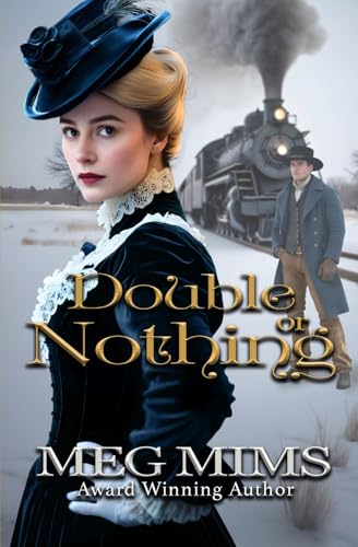 Double or Nothing book cover