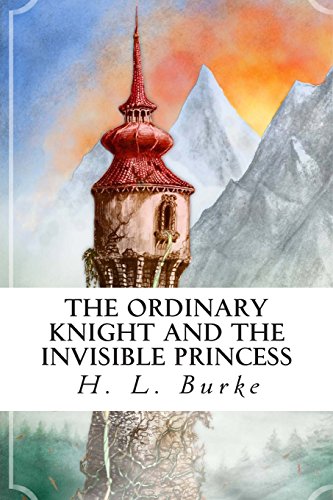The Ordinary Knight and the Invisible Princess book cover