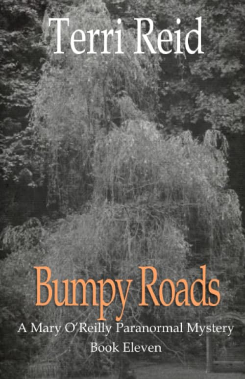 Bumpy Roads book cover