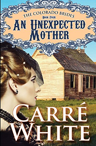 An Unexpected Mother book cover