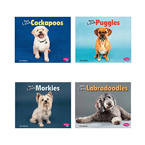Cover of Favorite Designer Dogs