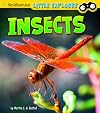 Insects (Little Explorer: Little Scientist)