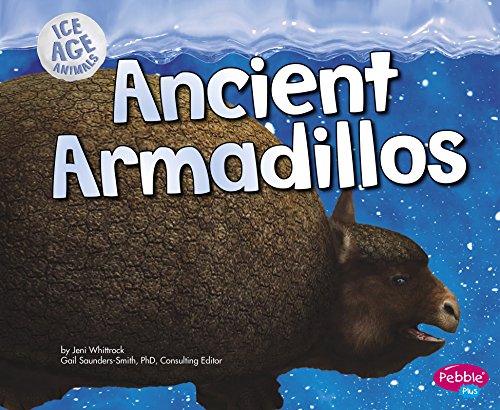 Cover of Ancient armadillo