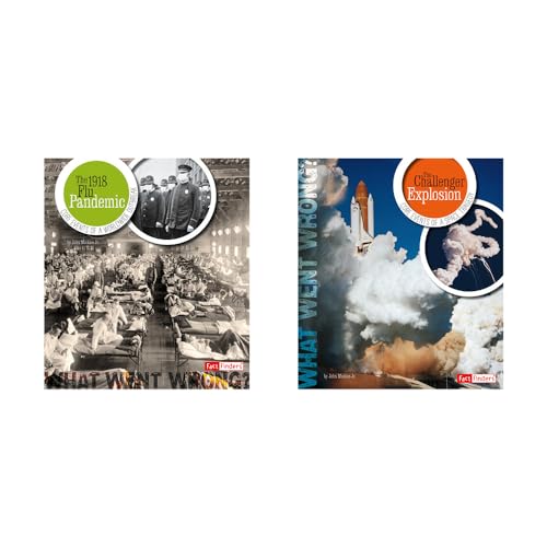 Cover of What Went Wrong?
