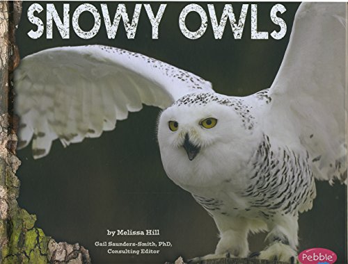 Cover of Snowy Owls