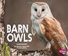 Barn Owls (Pebble Plus: Owls)
