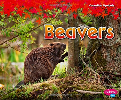 Cover of Beavers