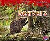 Beavers (Canadian Symbols)
