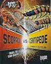 Scorpion vs. Centipede: Duel to the Death (Bug Wars)