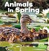 Animals in Spring (Little Pebble: Celebrate Spring)