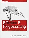 Efficient R Programming: A Practical Guide to Smarter Programming