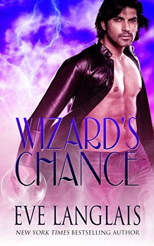 Wizard's Chance book cover
