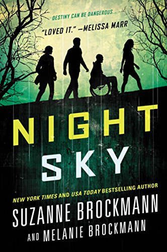 Night Sky book cover