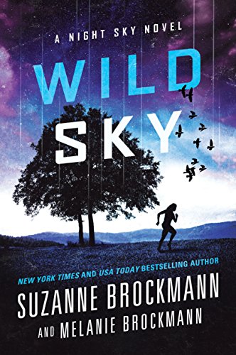 Wild Sky book cover