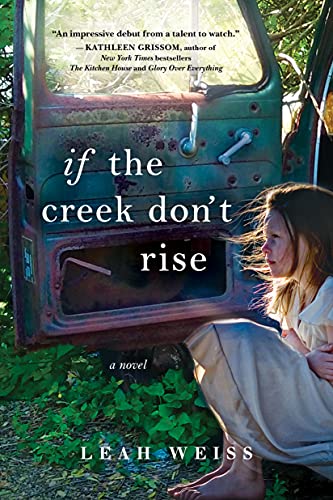 If The Creek Don't Rise book cover
