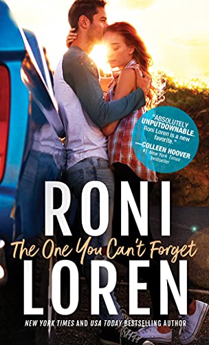 The One You Can't Forget book cover