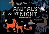 Animals at Night: A Glow-in-the-Dark Book