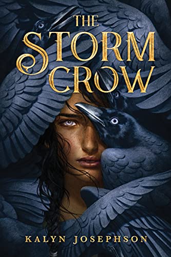 The Storm Crow cover