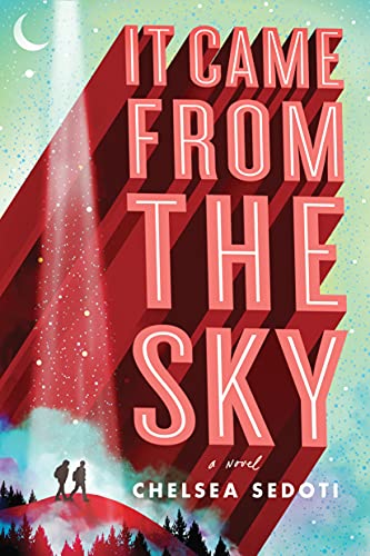 It Came From the Sky book cover