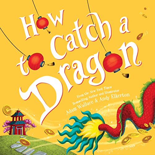 How to Catch a Dragon book cover