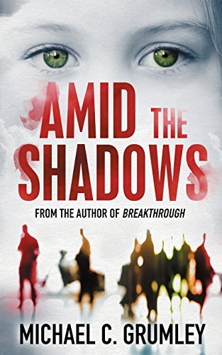 Amid the Shadows book cover