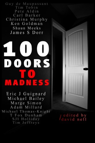100 Doors to Madness book cover