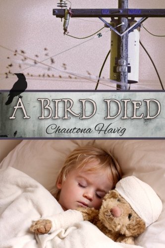 A Bird Died book cover