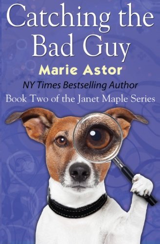 Catching the Bad Guy book cover