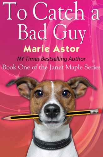 To Catch a Bad Guy book cover