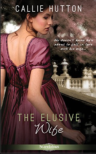 The Elusive Wife book cover