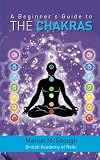 A Beginners Guide To The Chakras