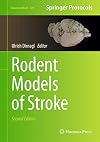Rodent Models of Stroke