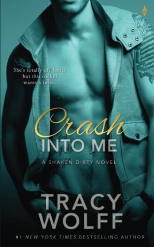 Crash Into Me book cover